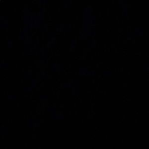 Meet your Posher, Abreyana